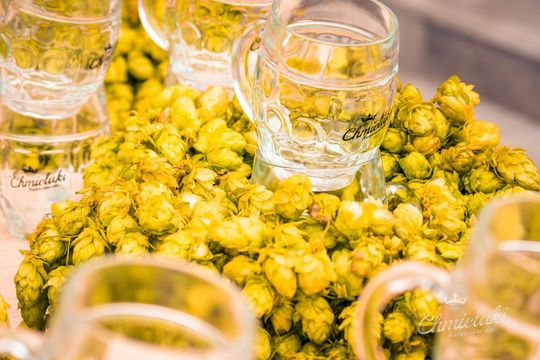 Chmielaki Krasnostawskie 2025 - dni pełne muzyki, piwa, tradycji i dobrej zabawy cz. IV [GALERIA ZDJĘĆ]