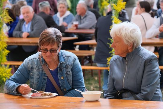 Dożynki 2025. Gmina Rejowiec Fabryczny podziękowała za plony. Świętowano w Pawłowie [GALERIA ZDJĘĆ]