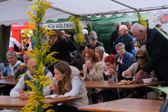 Dożynki 2025. Gmina Rejowiec Fabryczny podziękowała za plony. Świętowano w Pawłowie [GALERIA ZDJĘĆ]