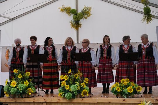 Dożynki 2025. Gmina Rejowiec Fabryczny podziękowała za plony. Świętowano w Pawłowie [GALERIA ZDJĘĆ]