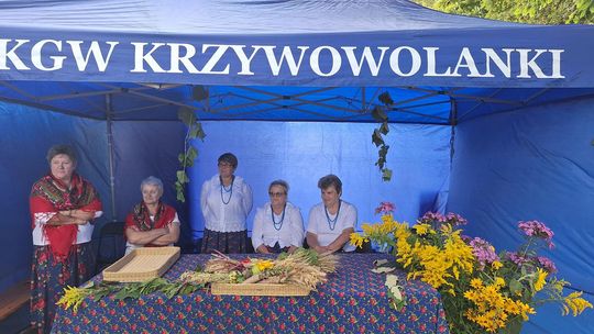 Dożynki 2025. Gmina Rejowiec Fabryczny podziękowała za plony. Świętowano w Pawłowie [GALERIA ZDJĘĆ]