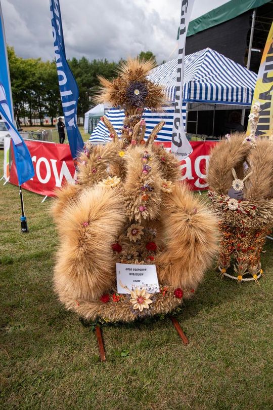 Dożynki gminy Chełm 2025 [GALERIA ZDJĘĆ]