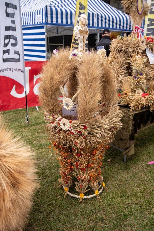 Dożynki gminy Chełm 2025 [GALERIA ZDJĘĆ]