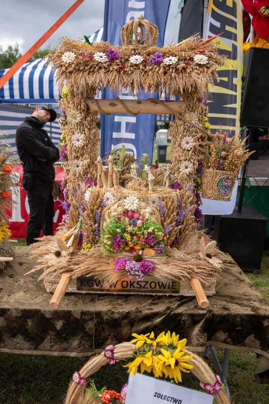 Dożynki gminy Chełm 2025 [GALERIA ZDJĘĆ]