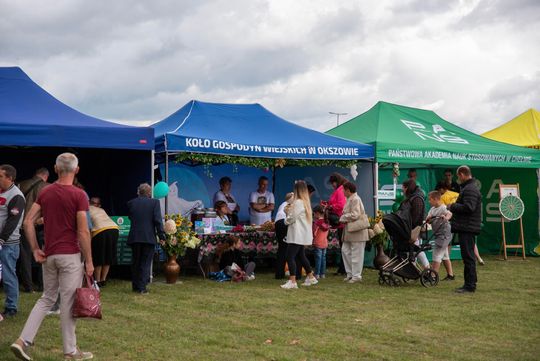 Dożynki gminy Chełm 2025 [GALERIA ZDJĘĆ]