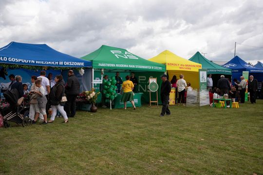 Dożynki gminy Chełm 2025 [GALERIA ZDJĘĆ]