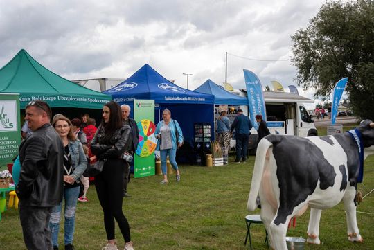 Dożynki gminy Chełm 2025 [GALERIA ZDJĘĆ]