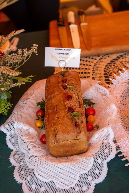 Dożynki gminy Chełm 2025 [GALERIA ZDJĘĆ]