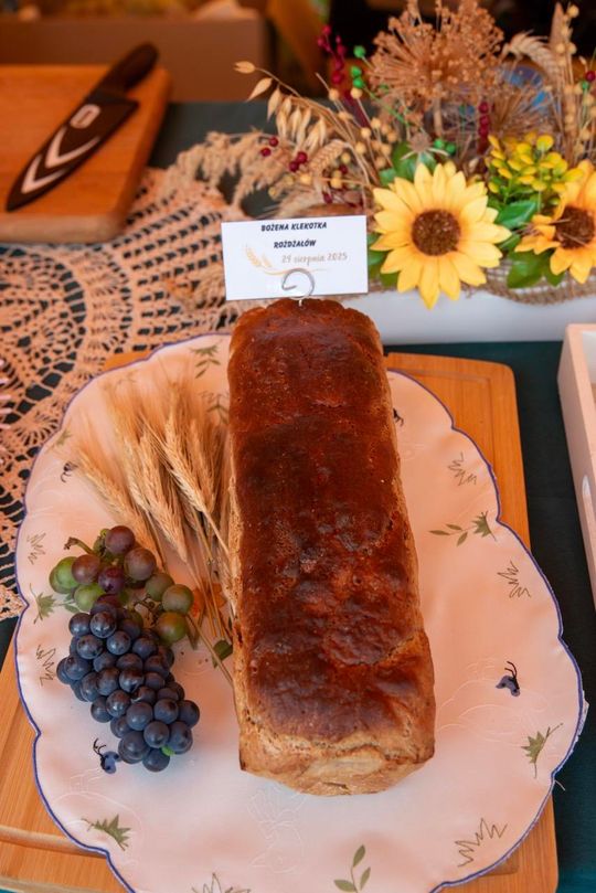 Dożynki gminy Chełm 2025 [GALERIA ZDJĘĆ]