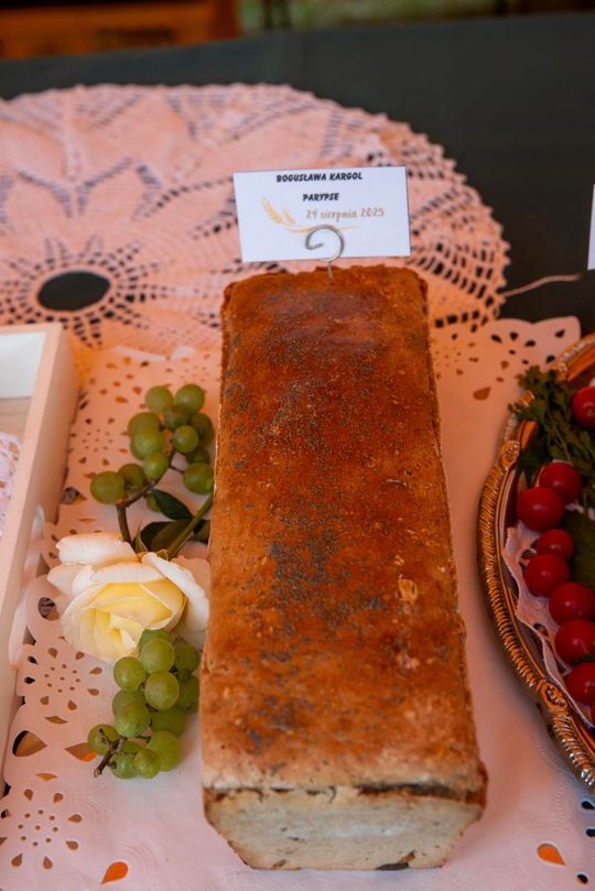 Dożynki gminy Chełm 2025 [GALERIA ZDJĘĆ]