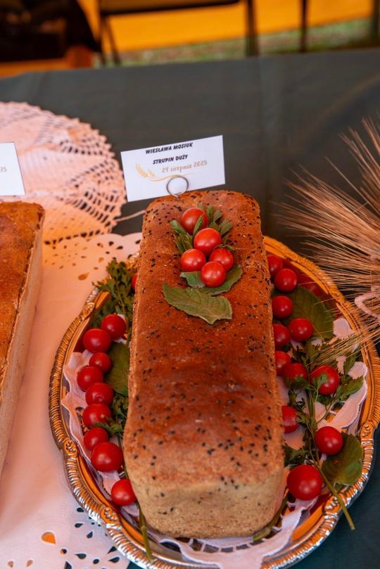 Dożynki gminy Chełm 2025 [GALERIA ZDJĘĆ]