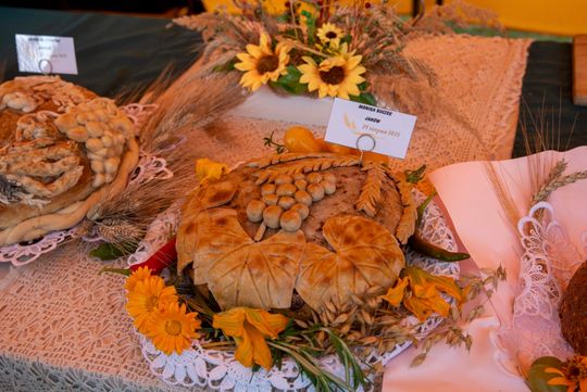 Dożynki gminy Chełm 2025 [GALERIA ZDJĘĆ]