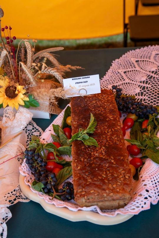 Dożynki gminy Chełm 2025 [GALERIA ZDJĘĆ]