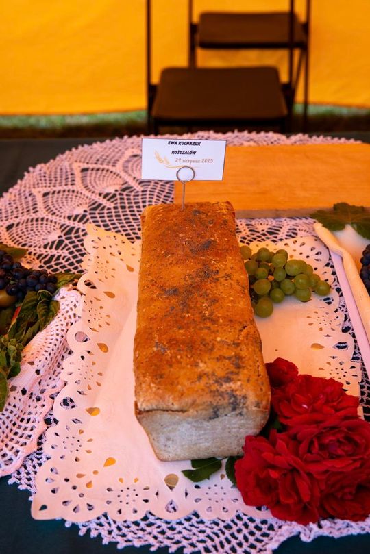 Dożynki gminy Chełm 2025 [GALERIA ZDJĘĆ]