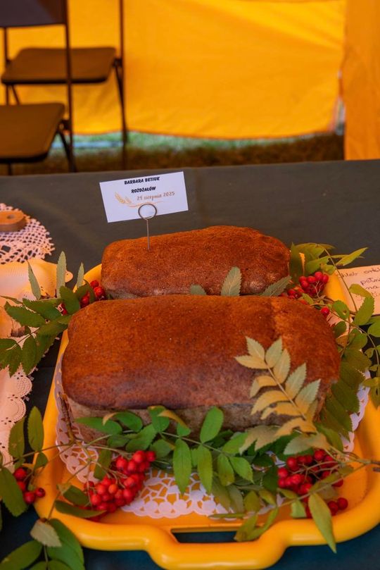 Dożynki gminy Chełm 2025 [GALERIA ZDJĘĆ]