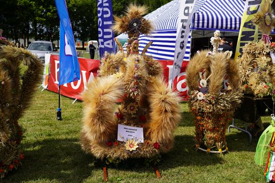 Dożynki gminy Chełm 2025 [GALERIA ZDJĘĆ]