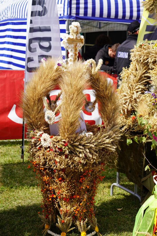 Dożynki gminy Chełm 2025 [GALERIA ZDJĘĆ]