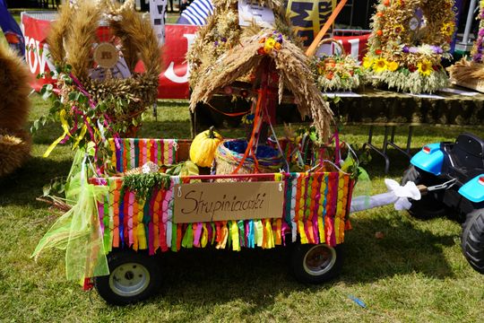 Dożynki gminy Chełm 2025 [GALERIA ZDJĘĆ]