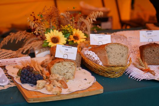 Dożynki gminy Chełm 2025 [GALERIA ZDJĘĆ]