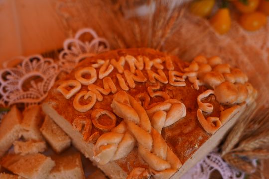 Dożynki gminy Chełm 2025 [GALERIA ZDJĘĆ]