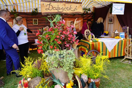 Dożynki gminy Chełm 2025 [GALERIA ZDJĘĆ]