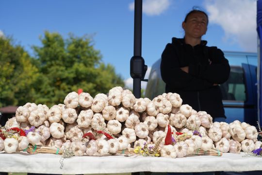 Dożynki gminy Chełm 2025 [GALERIA ZDJĘĆ]