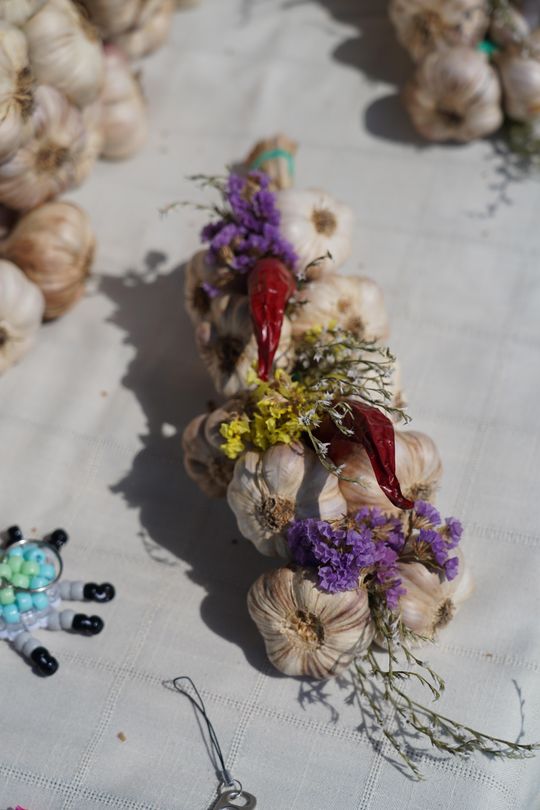 Dożynki gminy Chełm 2025 [GALERIA ZDJĘĆ]