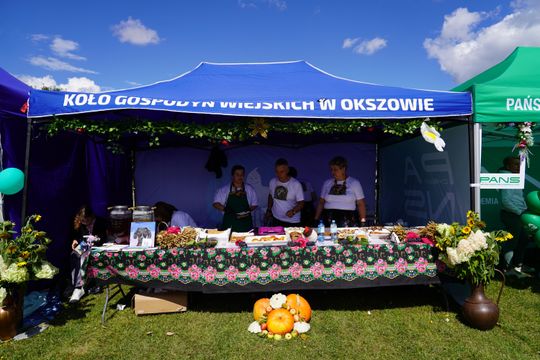 Dożynki gminy Chełm 2025 [GALERIA ZDJĘĆ]