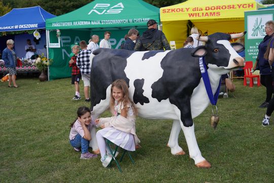 Dożynki gminy Chełm 2025 [GALERIA ZDJĘĆ]