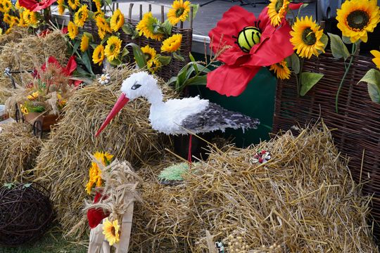 Dożynki gminy Chełm 2025 [GALERIA ZDJĘĆ]