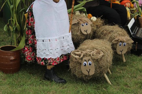 Dożynki Gminy Dorohusk 2025 [GALERIA ZDJĘĆ]