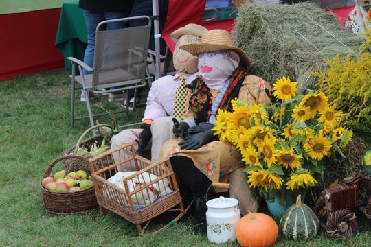 Dożynki Gminy Dorohusk 2025 [GALERIA ZDJĘĆ]