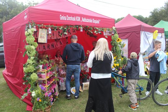 Dożynki Gminy Dorohusk 2025 [GALERIA ZDJĘĆ]