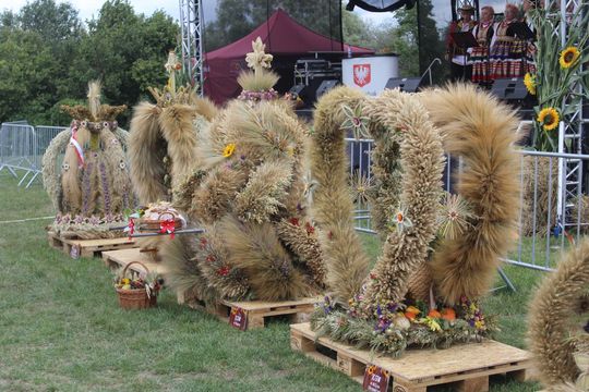 Dożynki Gminy Dorohusk 2025 [GALERIA ZDJĘĆ]