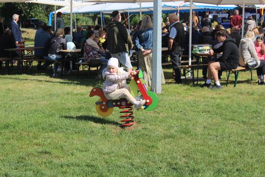 Dożynki Gminy Kamień 2025 [GALERIA ZDJĘĆ]