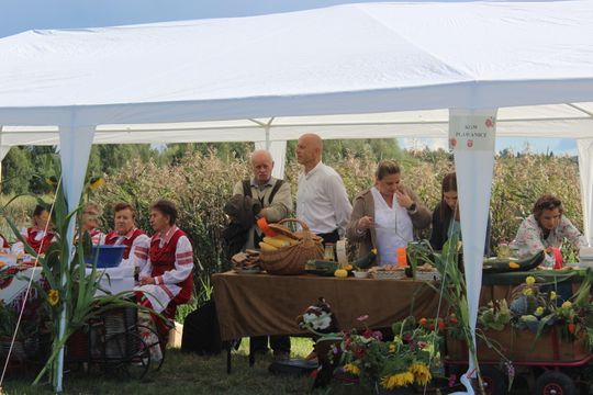 Dożynki Gminy Kamień 2025 [GALERIA ZDJĘĆ]