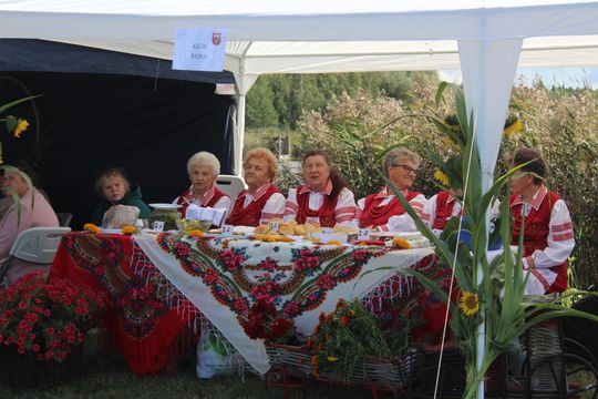 Dożynki Gminy Kamień 2025 [GALERIA ZDJĘĆ]