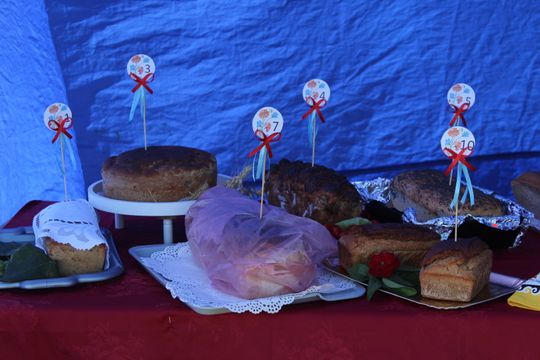 Dożynki Gminy Kamień 2025 [GALERIA ZDJĘĆ]