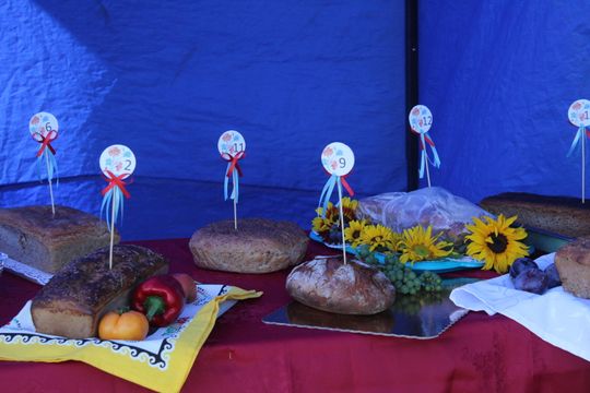 Dożynki Gminy Kamień 2025 [GALERIA ZDJĘĆ]