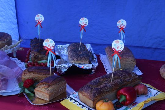 Dożynki Gminy Kamień 2025 [GALERIA ZDJĘĆ]