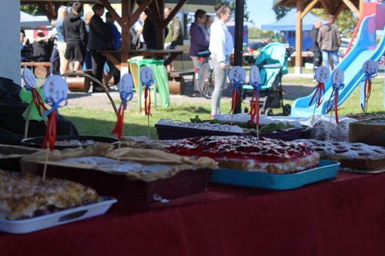 Dożynki Gminy Kamień 2025 [GALERIA ZDJĘĆ]