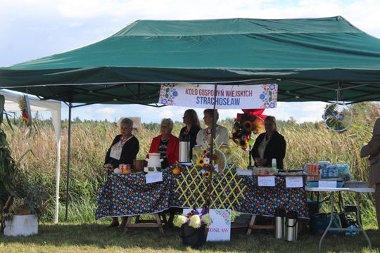 Dożynki Gminy Kamień 2025 [GALERIA ZDJĘĆ]