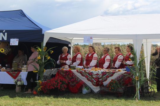 Dożynki Gminy Kamień 2025 [GALERIA ZDJĘĆ]