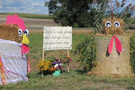 Dożynki Gminy Kamień 2025 [GALERIA ZDJĘĆ]