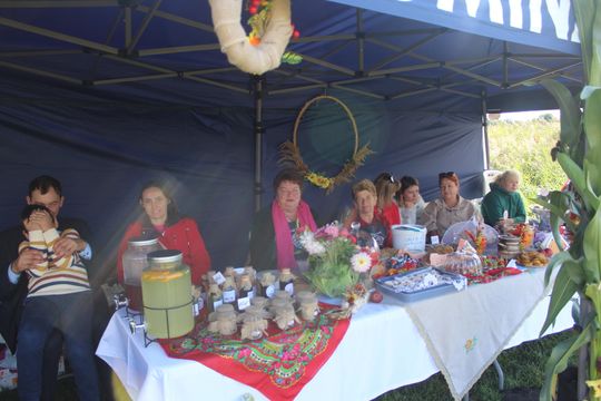 Dożynki Gminy Kamień 2025 [GALERIA ZDJĘĆ]