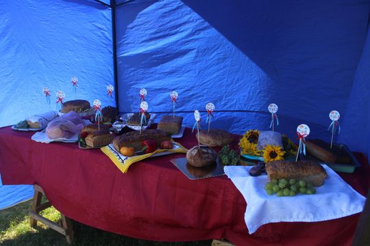 Dożynki Gminy Kamień 2025 [GALERIA ZDJĘĆ]