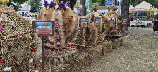 Dożynki Gminy Sawin 2025 [GALERIA ZDJĘĆ]