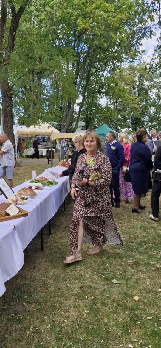 Dożynki Gminy Sawin 2025 [GALERIA ZDJĘĆ]