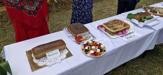 Dożynki Gminy Sawin 2025 [GALERIA ZDJĘĆ]