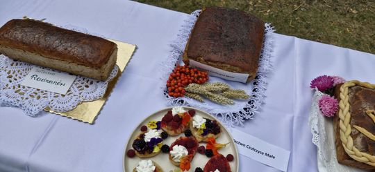 Dożynki Gminy Sawin 2025 [GALERIA ZDJĘĆ]